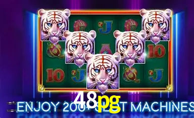 Flash Promotion 48pg